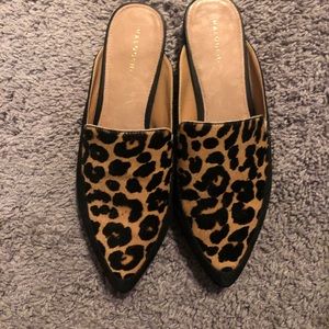 Halogen Leopard Mules-worn once! Sz 7.5